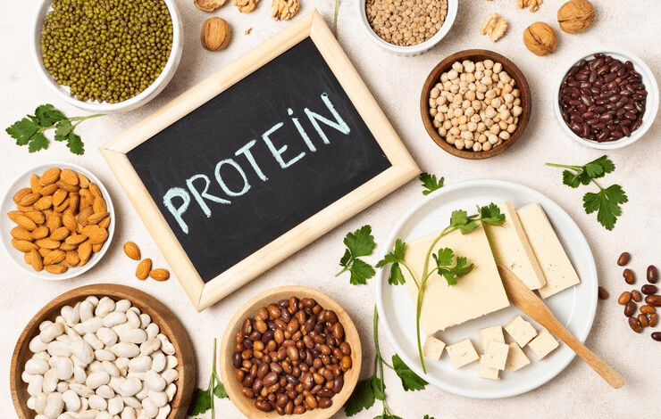 Protein-Sources