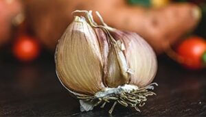 Garlic