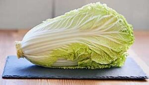 Chinese cabbage