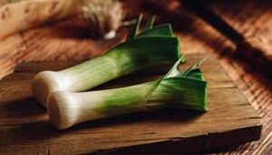 Leek