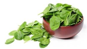 Spinach